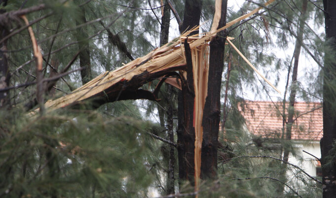 Ảnh, clip: Bão số 5 đổ bộ vào Thừa Thiên Huế gây mưa to gió giật kinh hoàng quật đổ cây xanh, giao thông hỗn loạn-8