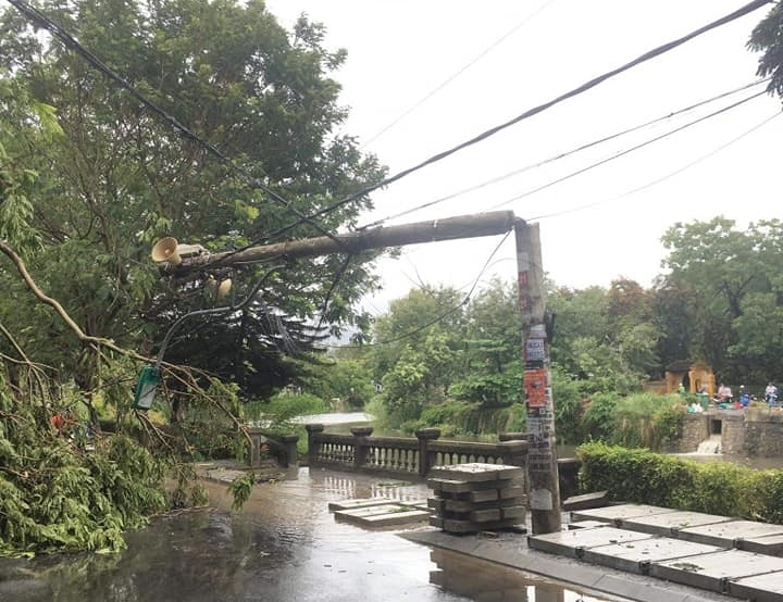 Ảnh, clip: Bão số 5 đổ bộ vào Thừa Thiên Huế gây mưa to gió giật kinh hoàng quật đổ cây xanh, giao thông hỗn loạn-11