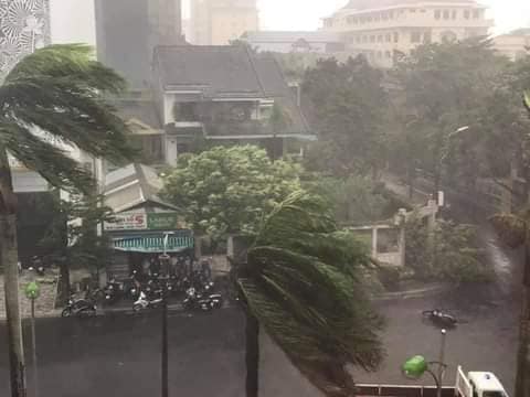 Ảnh, clip: Bão số 5 đổ bộ vào Thừa Thiên Huế gây mưa to gió giật kinh hoàng quật đổ cây xanh, giao thông hỗn loạn-4