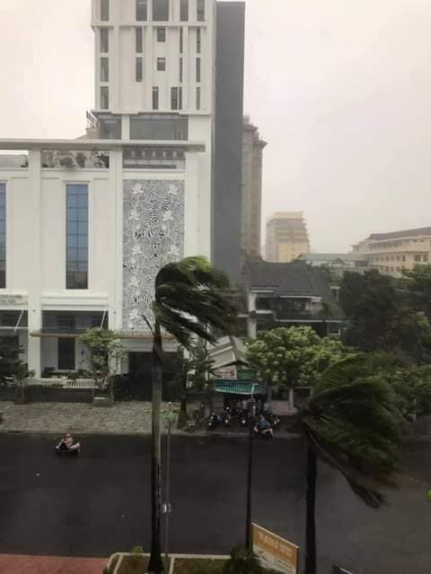 Ảnh, clip: Bão số 5 đổ bộ vào Thừa Thiên Huế gây mưa to gió giật kinh hoàng quật đổ cây xanh, giao thông hỗn loạn-3