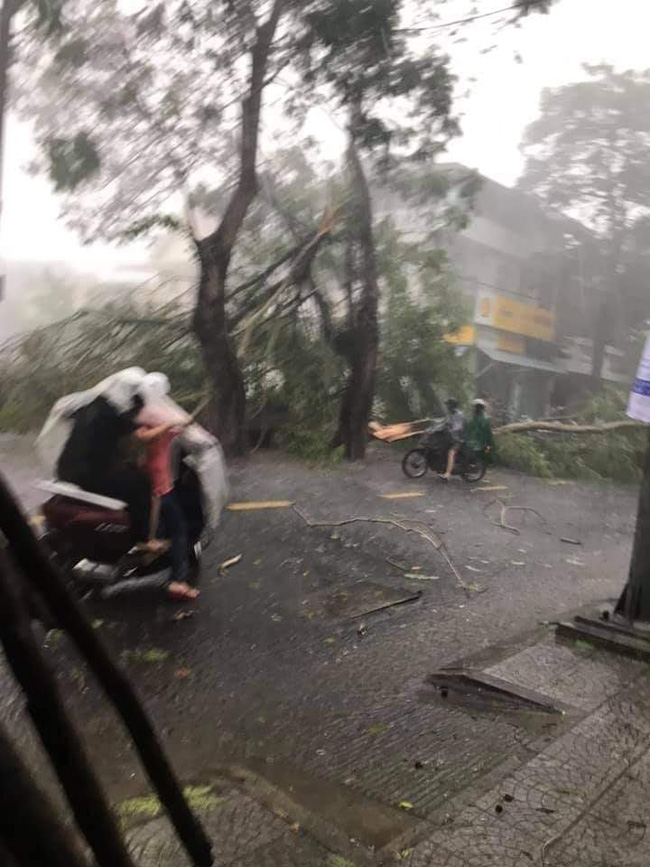 Ảnh, clip: Bão số 5 đổ bộ vào Thừa Thiên Huế gây mưa to gió giật kinh hoàng quật đổ cây xanh, giao thông hỗn loạn-9