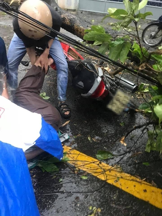 Ảnh, clip: Bão số 5 đổ bộ vào Thừa Thiên Huế gây mưa to gió giật kinh hoàng quật đổ cây xanh, giao thông hỗn loạn-10