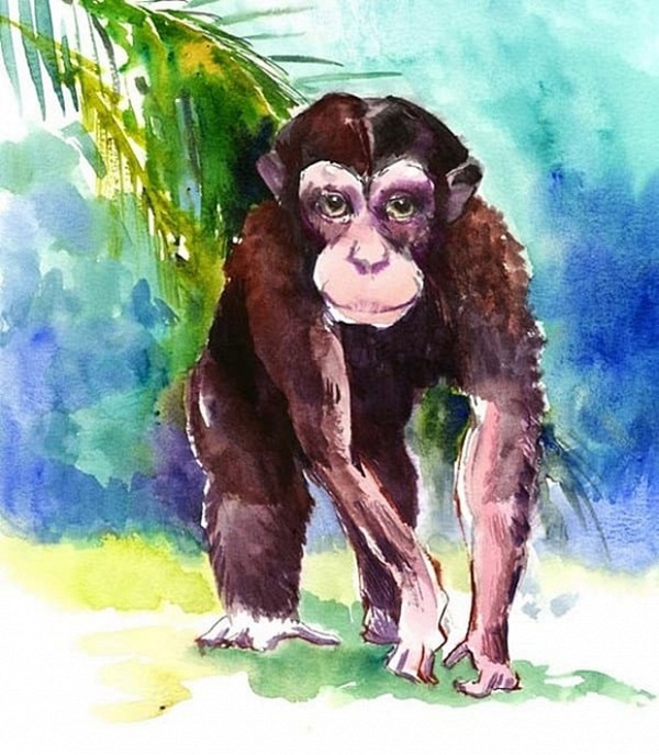 Cuối tháng 9: Thời tới cản không nổi, 3 con giáp này phát tài phát lộc, muốn nghèo cũng khó-2