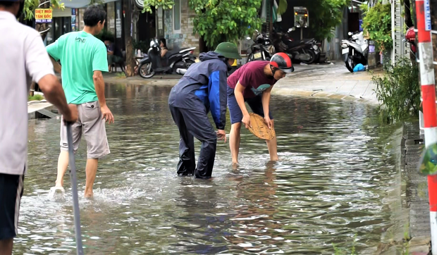 Clip: Người Đà Nẵng thích thú mang rổ ra đường phố bắt cá sau bão số 5-1
