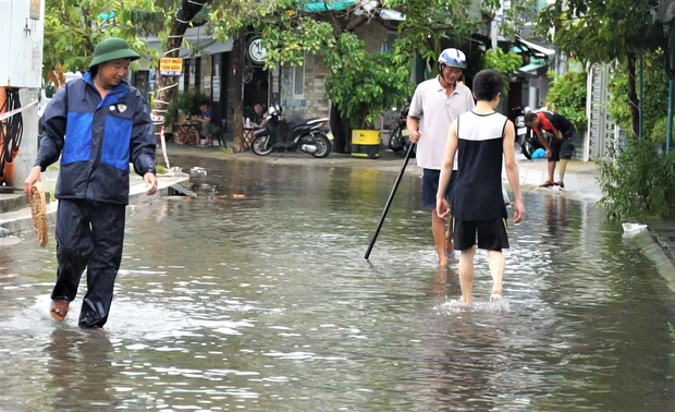 Clip: Người Đà Nẵng thích thú mang rổ ra đường phố bắt cá sau bão số 5-4