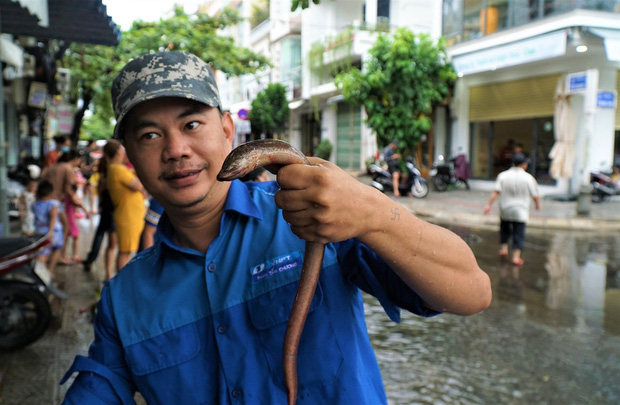 Clip: Người Đà Nẵng thích thú mang rổ ra đường phố bắt cá sau bão số 5-5