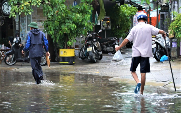 Clip: Người Đà Nẵng thích thú mang rổ ra đường phố bắt cá sau bão số 5-6