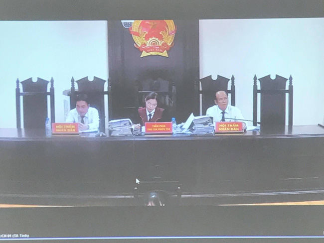 Vợ Đường Nhuệ lĩnh án 18 tháng tù giam vụ thao túng đấu giá đất ở Thái Bình-1