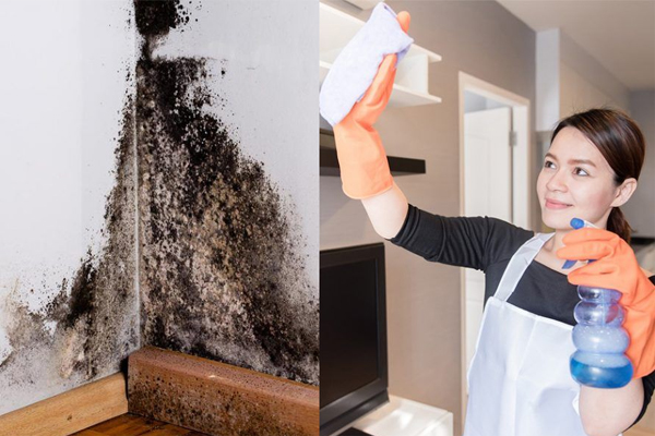 Mách bạn cách xóa vết bẩn trên tường để thoát cảnh khóc thét vì con nhỏ nghịch ngợm-8