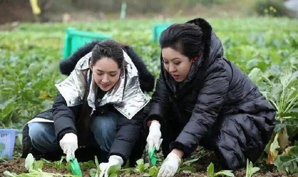 Mẹ chồng - nàng dâu giới siêu giàu Cbiz: Người bị đuổi ra khách sạn, kẻ quỳ gối rửa chân-15