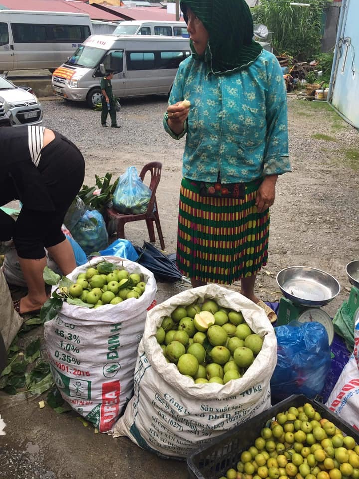 Đặc sản Hà Giang mát lịm, ngọt như đường đánh dạt hàng Trung Quốc-1