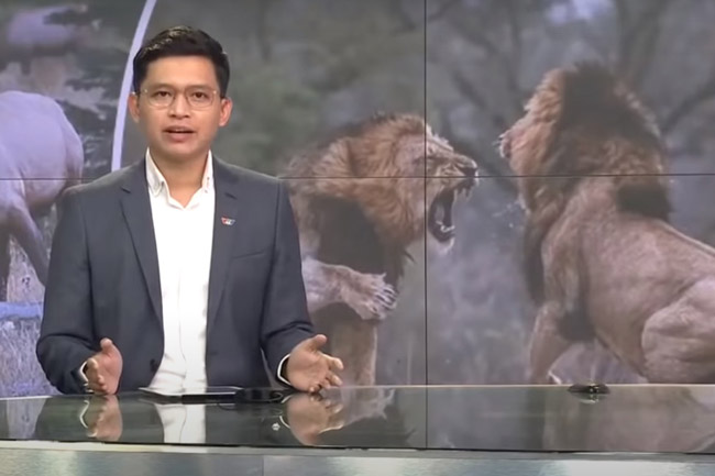 BTV mặn nhất VTV lại cà khịa xuất sắc vụ đánh ghen phố Lý Nam Đế-1