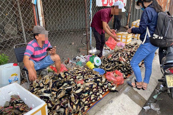 Kỳ lạ loại côn trùng chúa bán theo con, chị em mua cả chục triệu tẩm bổ cho chồng-7