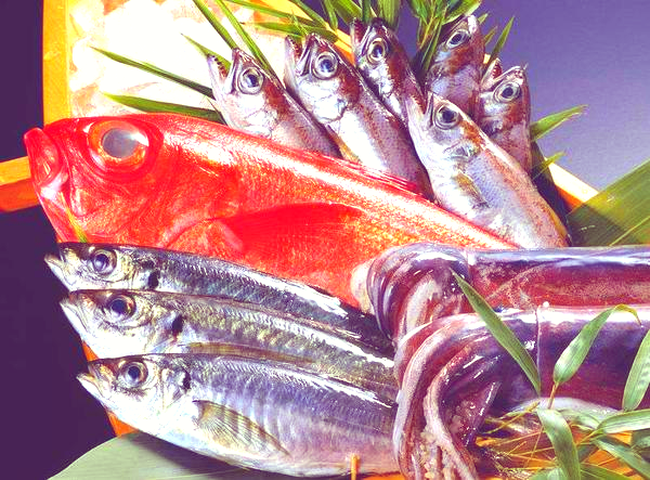 Hai loại cá này là bể chứa formaldehyde và kim loại nặng, cho dù rẻ đến mấy đi nữa cũng nên loại bỏ chúng khỏi bàn ăn-4