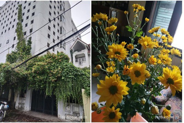 MC đình đám VTV khoe nhà: Người nhà phố to đùng, người lấy chồng ở nơi 5 tỷ-16