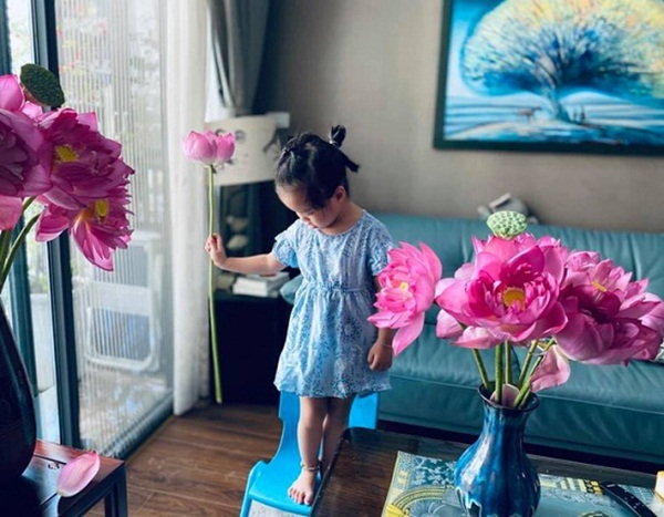 Chiêm ngưỡng loạt nhà mặt phố, chung cư tiền tỷ của các MC đình đám VTV-5