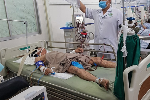Tê liệt, nôn ói sau vài phút ăn bao tử cá mặt thỏ-1