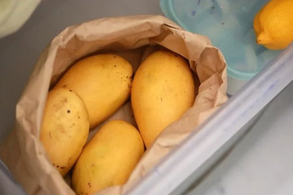 Tuyệt chiêu bảo quản xoài tươi lâu giữ được nhiều dinh dưỡng-1