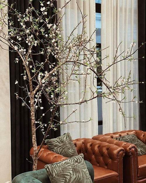 3 nàng Á hậu bỏ showbiz lấy chồng giàu, cùng ở nơi sang nhưng Thanh Tú độc hơn hẳn-5