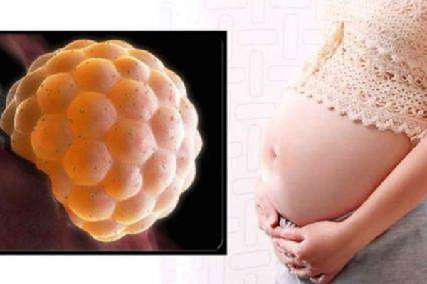 Từ vụ cô gái 20 tuổi chửa trứng: Những dấu hiệu cần lưu ý để phát hiện sớm điều này-1