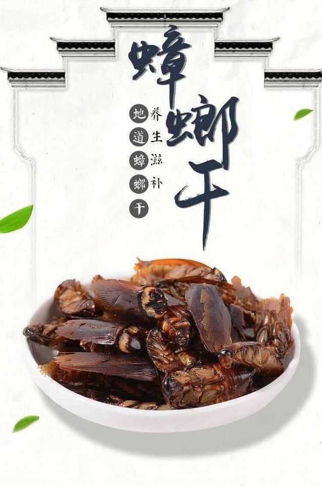 Một cửa hàng online rao bán snack gián sấy khô gây ám ảnh, nghĩ đùa thôi nhưng khi vào xem thành phẩm dân mạng tá hỏa chỉ muốn thoát ra-1