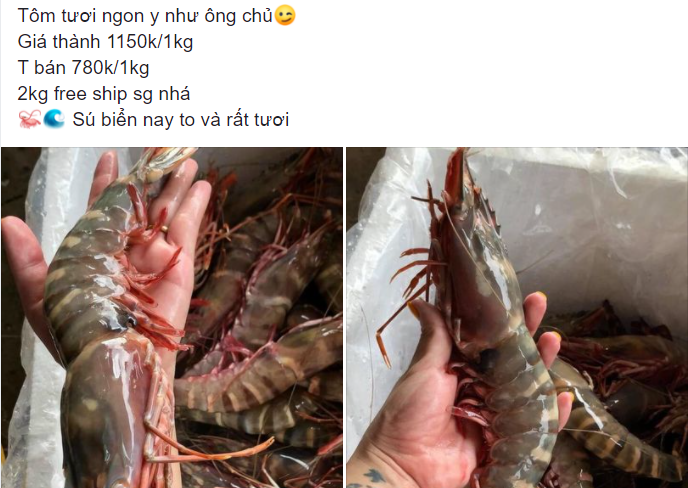 Tôm sú khổng lồ bán với giá rẻ chưa từng thấy-1