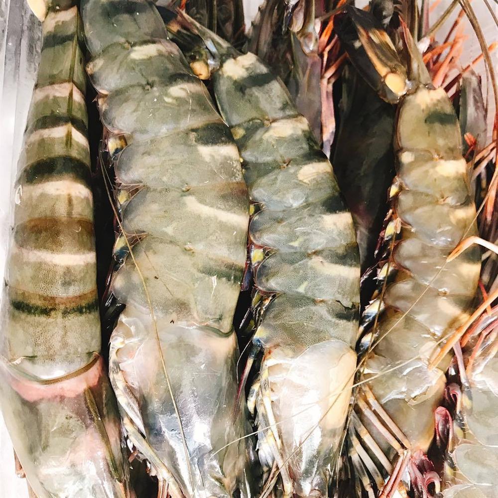 Tôm sú khổng lồ bán với giá rẻ chưa từng thấy-5