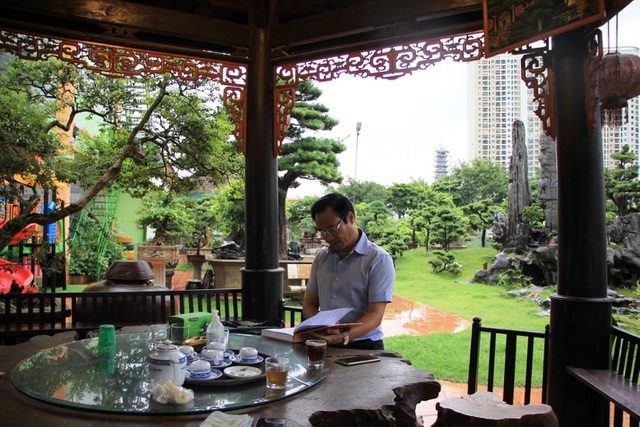 Tay chơi Hà Nội bán nhà trên phố để sở hữu cây tùng hơn 300 năm tuổi-2