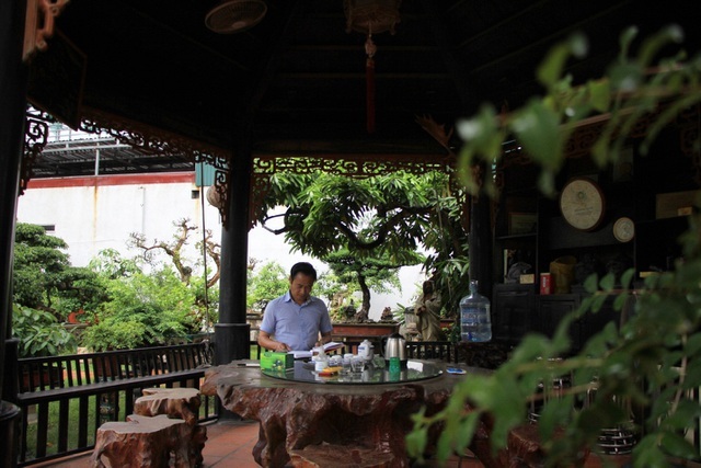 Tay chơi Hà Nội bán nhà trên phố để sở hữu cây tùng hơn 300 năm tuổi-4