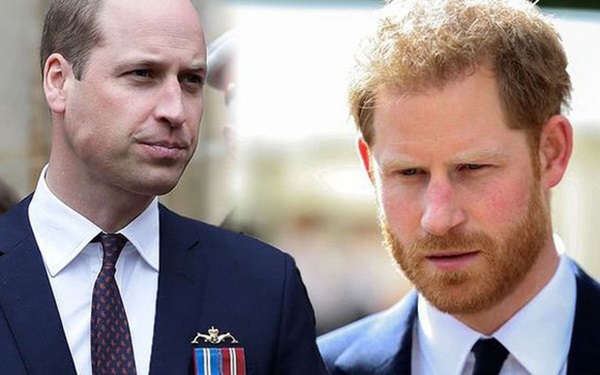 Dùng hình ảnh của mẹ quá cố để kiếm lợi, Hoàng tử Harry châm ngòi cho trận chiến mới với anh trai William, Hoàng gia Anh cũng phải tức giận?-3