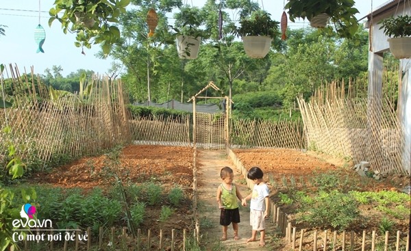Cô gái 27 tuổi bỏ phố lên vùng sâu cất nhà 20m2, làm vườn, trồng hoa sống an yên-7