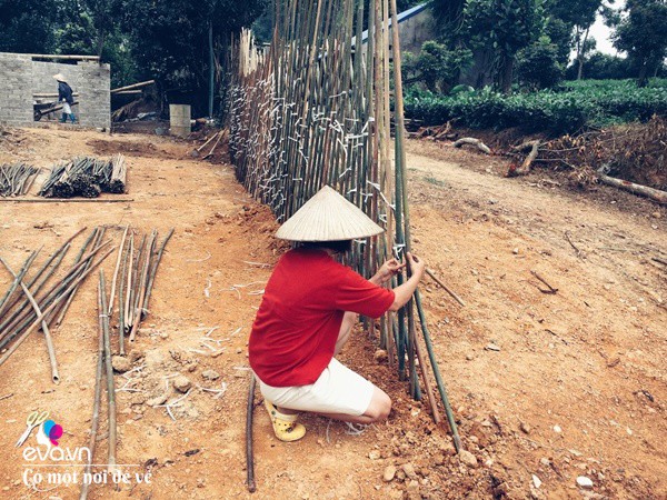 Cô gái 27 tuổi bỏ phố lên vùng sâu cất nhà 20m2, làm vườn, trồng hoa sống an yên-8