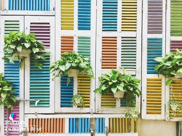 Cô gái 27 tuổi bỏ phố lên vùng sâu cất nhà 20m2, làm vườn, trồng hoa sống an yên-12