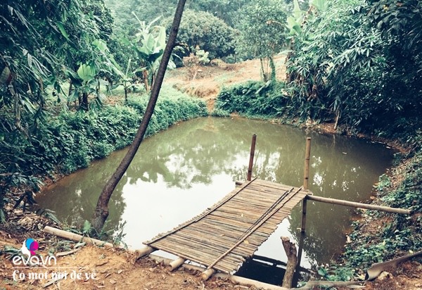 Cô gái 27 tuổi bỏ phố lên vùng sâu cất nhà 20m2, làm vườn, trồng hoa sống an yên-20