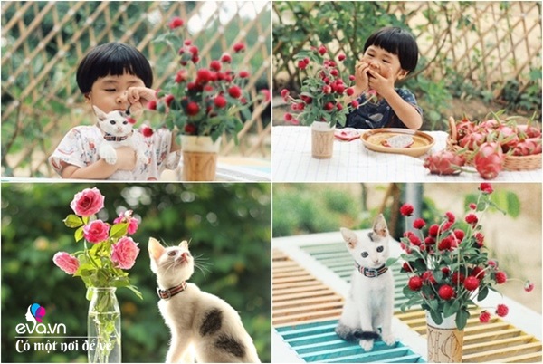 Cô gái 27 tuổi bỏ phố lên vùng sâu cất nhà 20m2, làm vườn, trồng hoa sống an yên-23