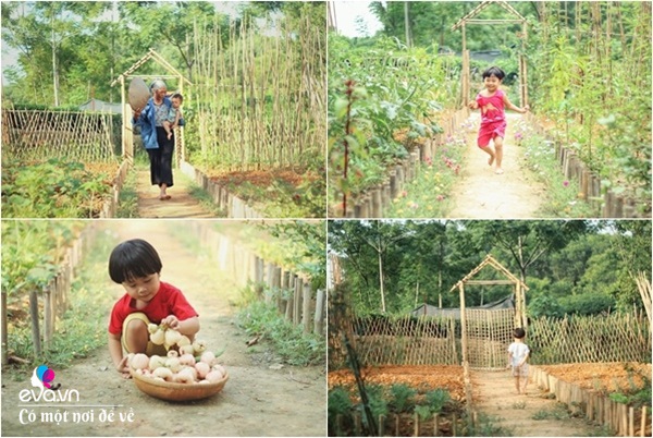 Cô gái 27 tuổi bỏ phố lên vùng sâu cất nhà 20m2, làm vườn, trồng hoa sống an yên-25