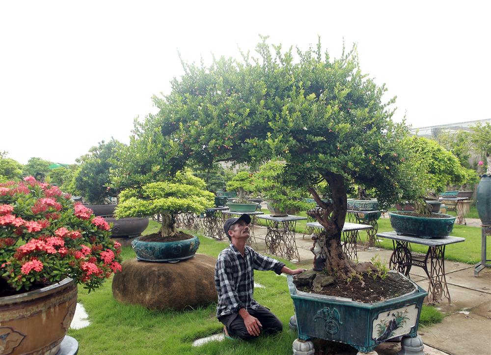 Choáng ngợp với bộ sưu tập Hòn ngọc Viễn Đông tiền tỷ giữa lòng Hà Nội-7