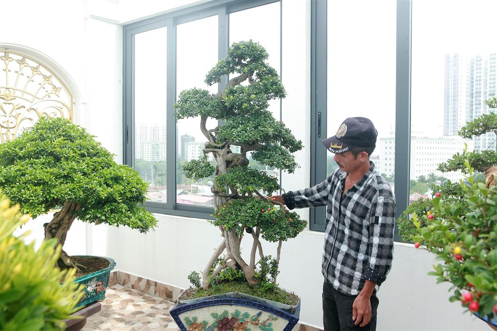 Choáng ngợp với bộ sưu tập Hòn ngọc Viễn Đông tiền tỷ giữa lòng Hà Nội-8