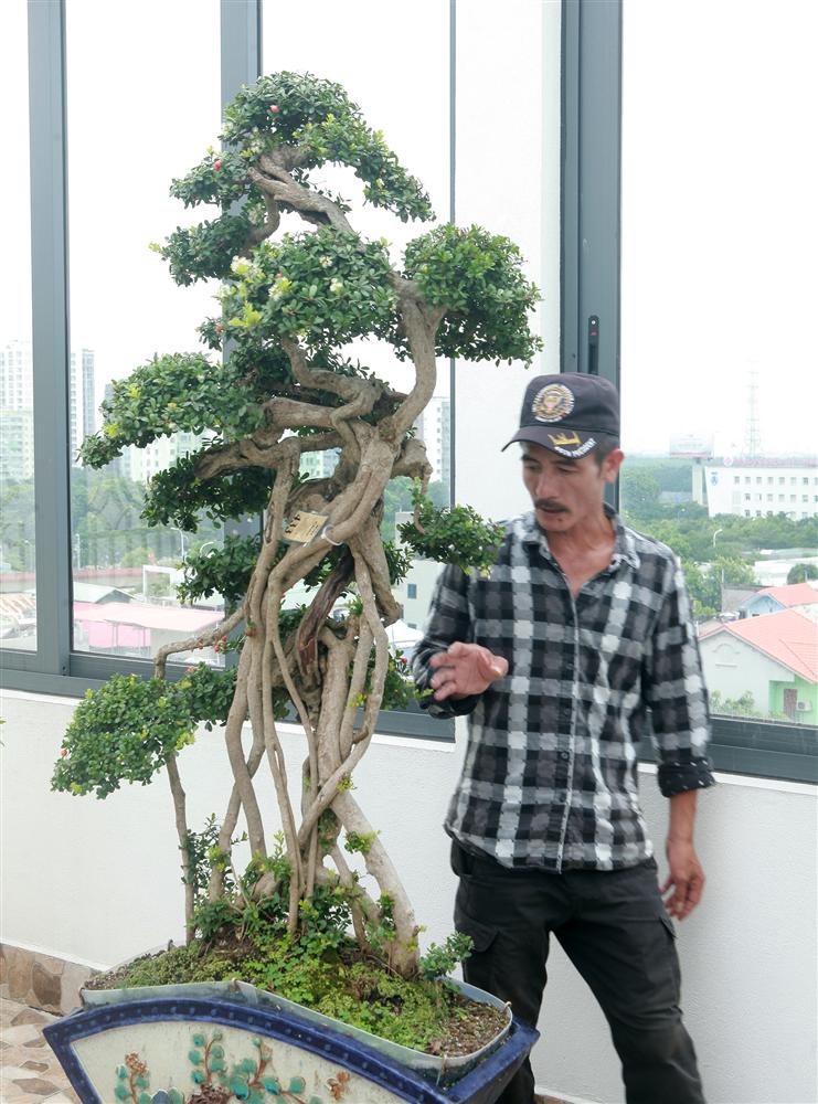 Choáng ngợp với bộ sưu tập Hòn ngọc Viễn Đông tiền tỷ giữa lòng Hà Nội-9