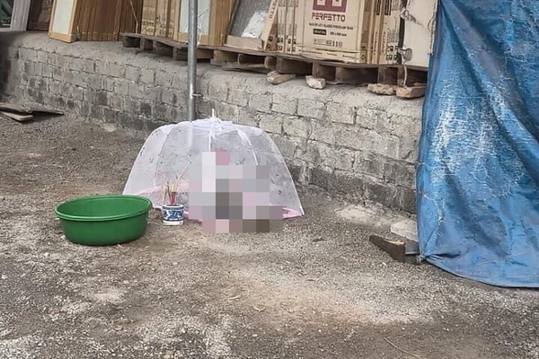 Thương tâm bé sơ sinh nặng 2.4kg còn nguyên dây rốn bị vứt bỏ trong thùng carton-2