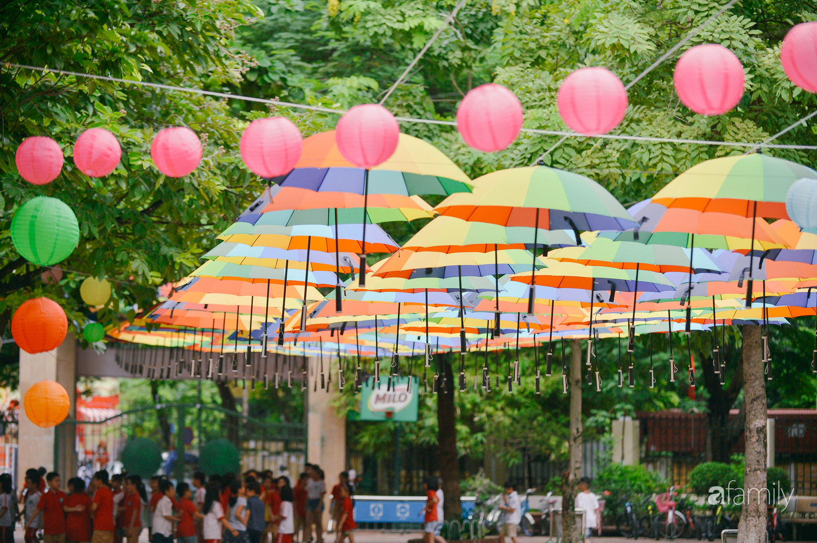 Trường tiểu học ở Hà Nội trang trí nổi bật cả vùng trời, học sinh phấn khích như đi hội, ai đi ngang qua cũng phải ngước nhìn-3