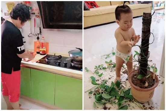 Bà bận nấu ăn trong bếp, quay ra đã thấy cháu xử lý chậu cây cảnh trụi sạch không còn 1 chiếc lá