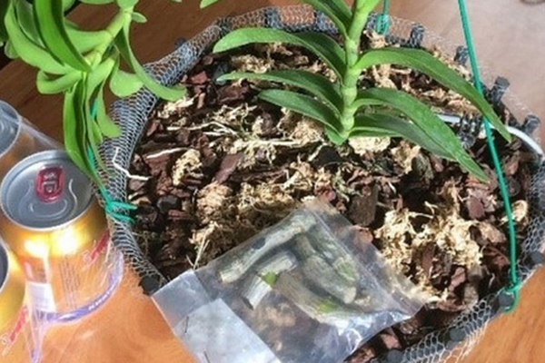 Bức xúc chiêu moi tiền người dùng của các cửa hàng điện thoại xách tay-3