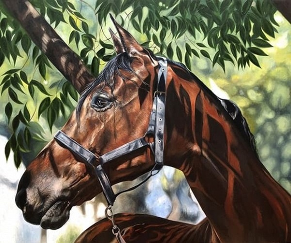 Nửa cuối tháng 8 âm lịch: 3 con giáp bị hung tinh chiếu mệnh, xui xẻo đeo bám, tiền của đội nón ra đi-1