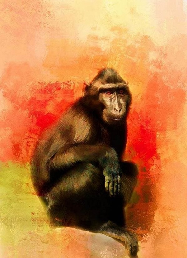 Nửa cuối tháng 8 âm lịch: 3 con giáp bị hung tinh chiếu mệnh, xui xẻo đeo bám, tiền của đội nón ra đi-2