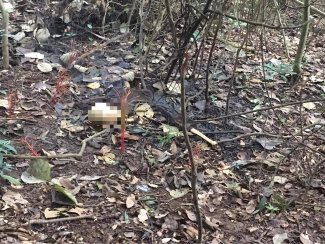 Hải Dương: Phát hiện thi thể đã phân hủy của nữ giáo viên trường cấp 3 mất tích hơn 1 tháng trước-1