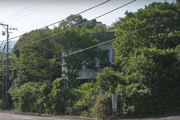 Đại gia vào tù, biệt phủ xa hoa dãi nắng dầm sương, cỏ mọc um tùm-8