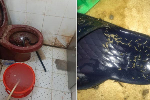 Mở tủ điện của tòa nhà sắp bị phá dỡ để kiểm tra, 2 thợ điện choáng váng phát hiện cảnh tượng ám ảnh, hàng nghìn người cũng bị dọa khiếp vía-4