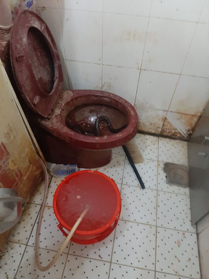 Nhân viên cũ tiết lộ bí mật kinh hoàng trong lò bánh mì nổi tiếng Sài Gòn: Giòi và cả bé na ngoe nguẩy trong khu chế biến, dùng thịt bò ôi thiu làm nhân bánh?-1