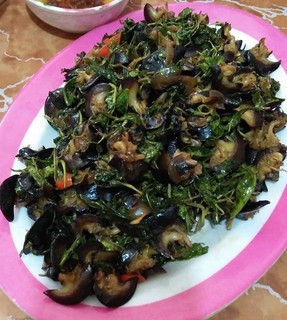 Loài ốc thảm họa, ám ảnh nhiều người được lùng mua giá đắt gấp đôi thịt bò-4